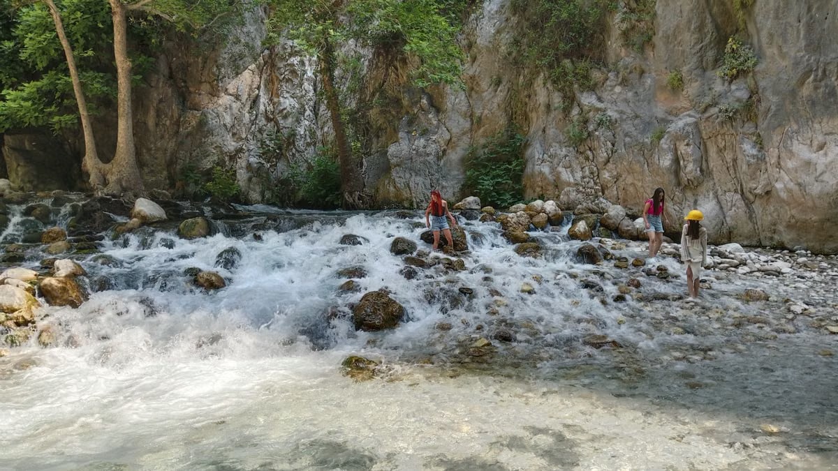 Group enjoying a refreshing walk through a rocky stream under the summer sun.